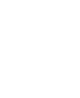Pasha Fabrics logo